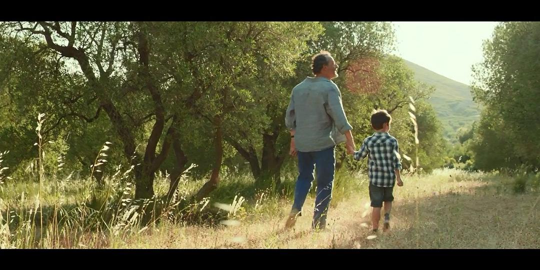 《普罗旺斯的夏天》剧照第52张图片