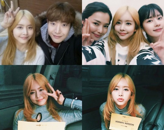 《摩登农夫》海报第26张图片