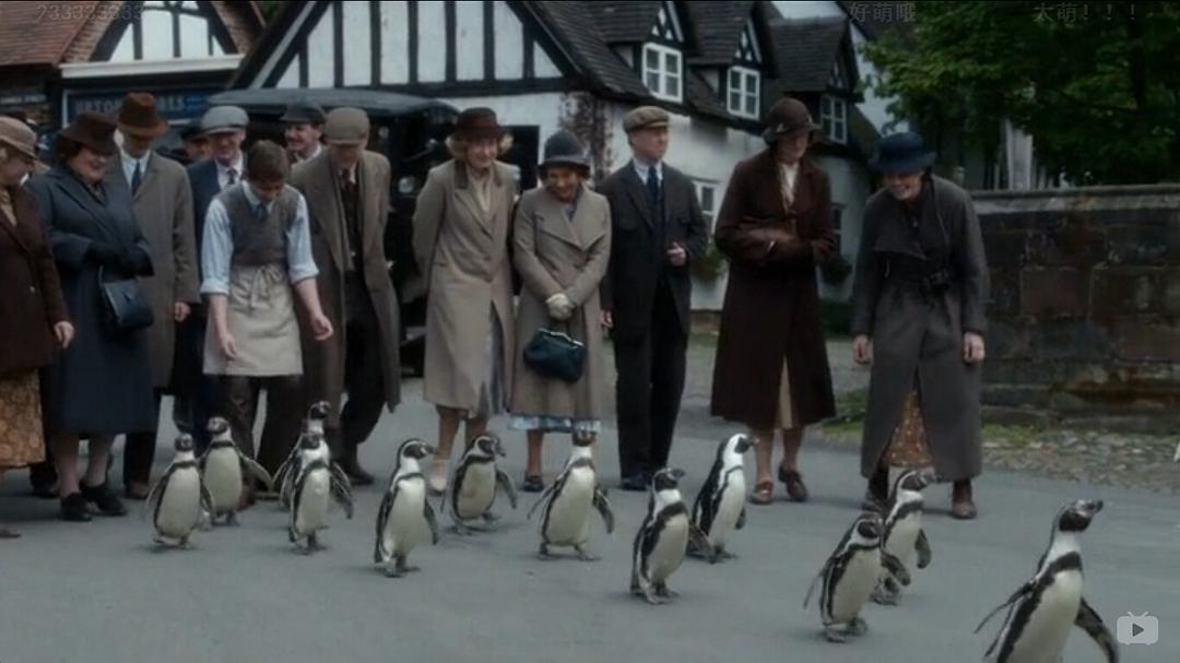 《我们的动物园》剧照第58张图片