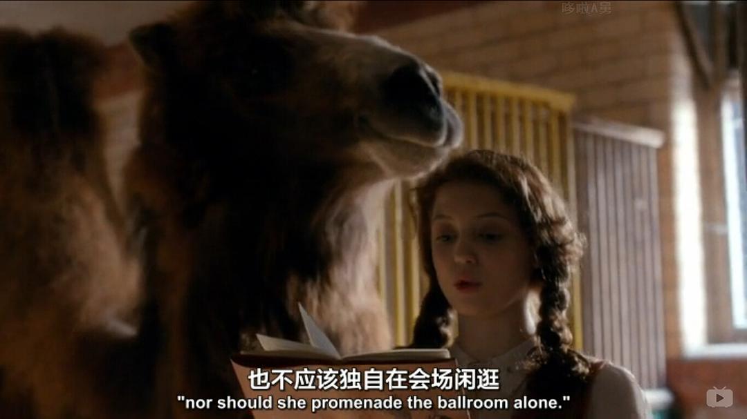 《我们的动物园》剧照第53张图片