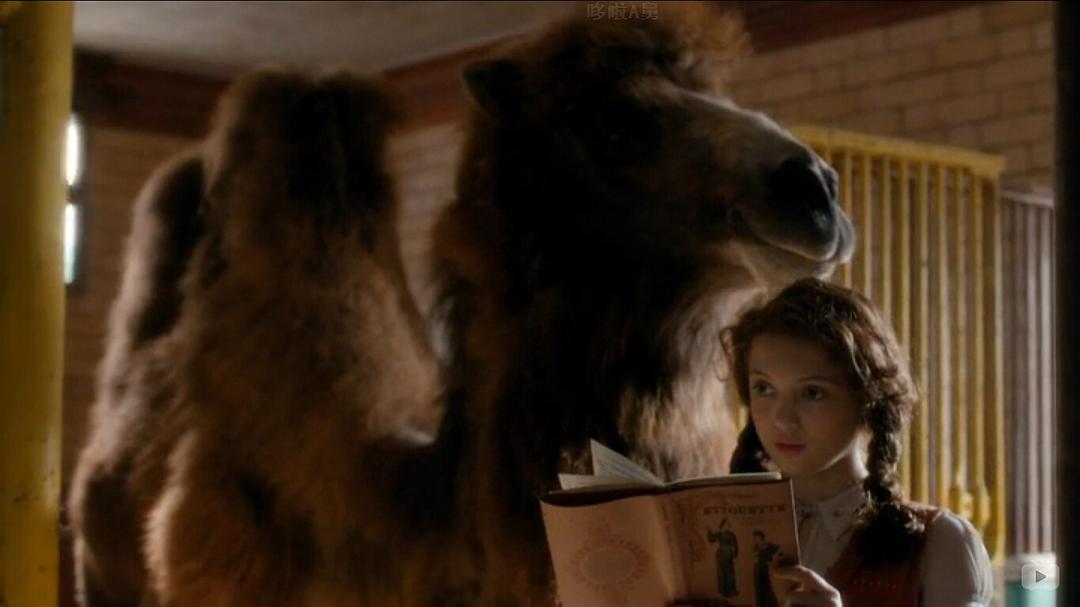 《我们的动物园》剧照第52张图片