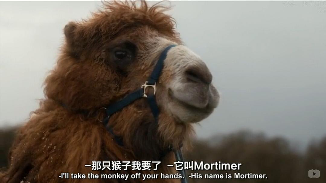 《我们的动物园》剧照第22张图片