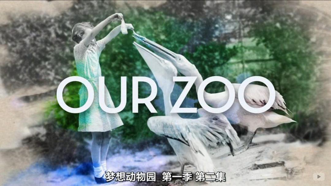 《我们的动物园》剧照第36张图片