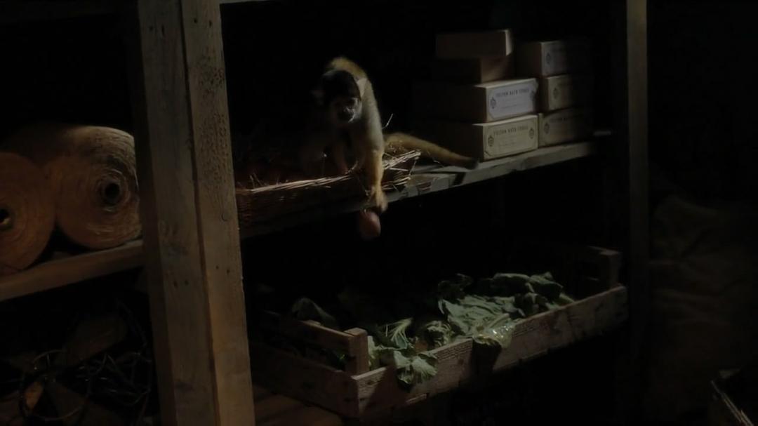 《我们的动物园》剧照第28张图片