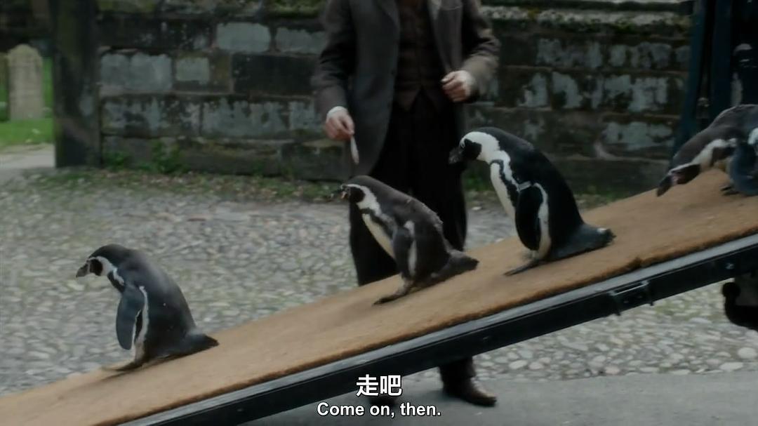 《我们的动物园》剧照第13张图片