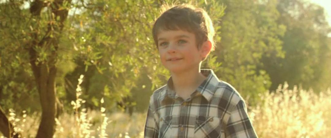 《普罗旺斯的夏天》剧照第54张图片