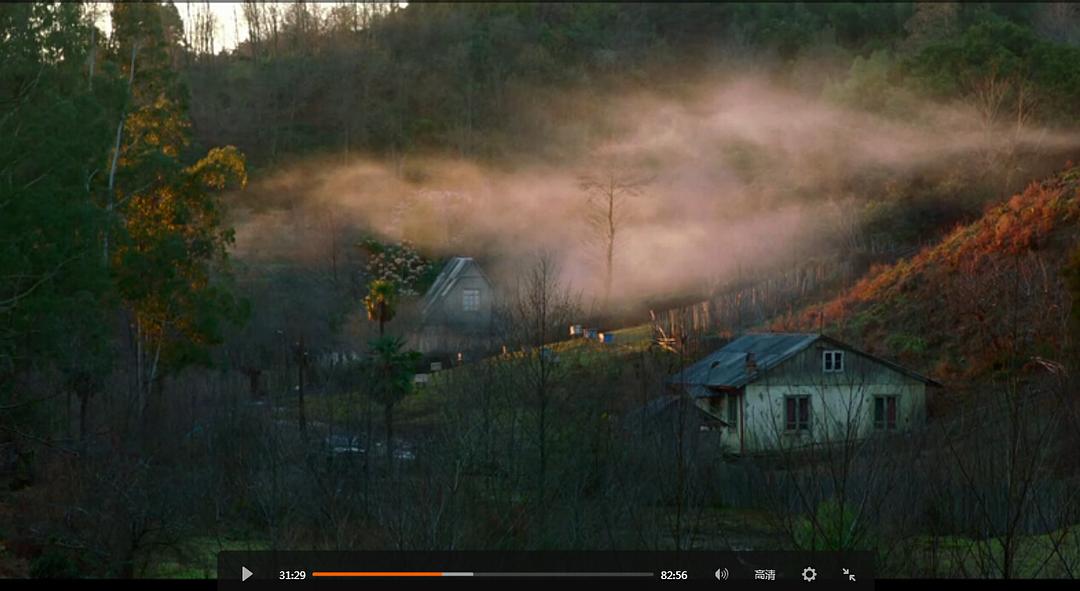 《金橘》海报第56张图片