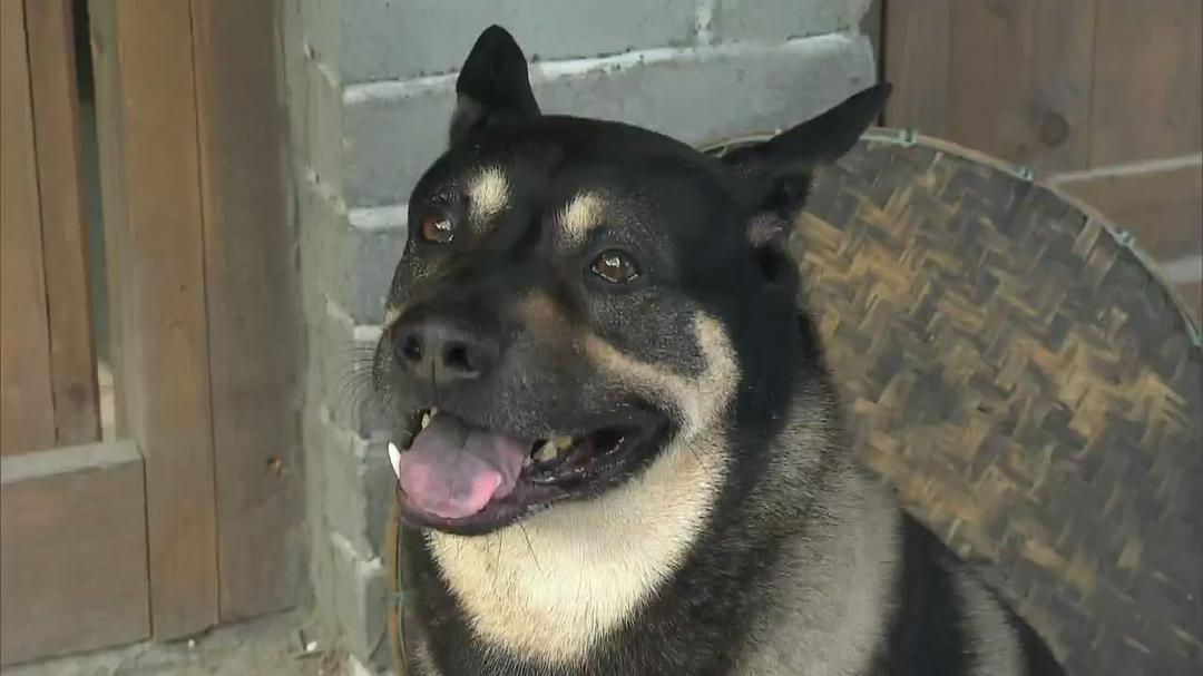 《倩女喜相逢》海报