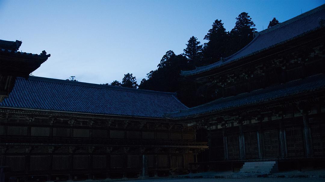 《投靠女与出走男》剧照第48张图片