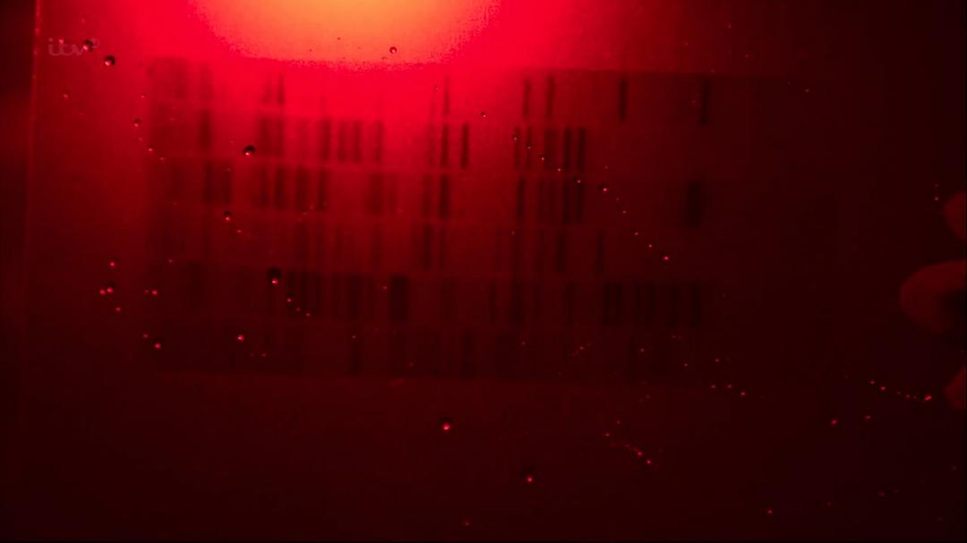 《真凶密码》海报第39张图片