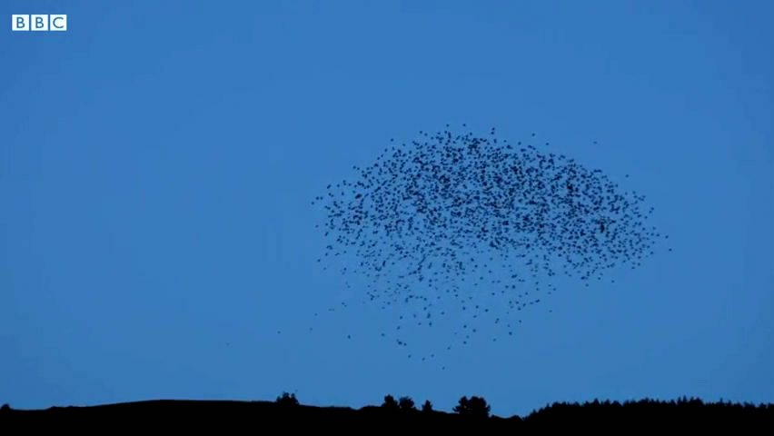 《荒郊疑云第一季》剧照
