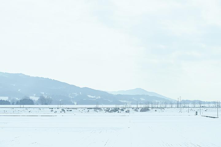 《小森林冬春篇》剧照第26张图片
