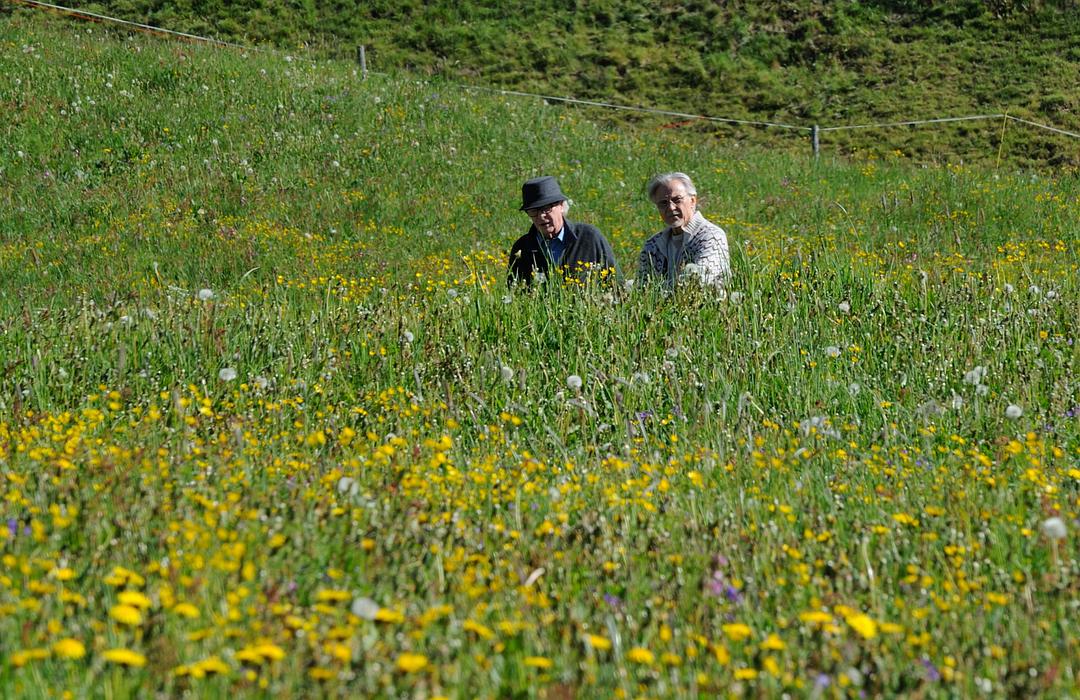 《年轻气盛》剧照第13张图片