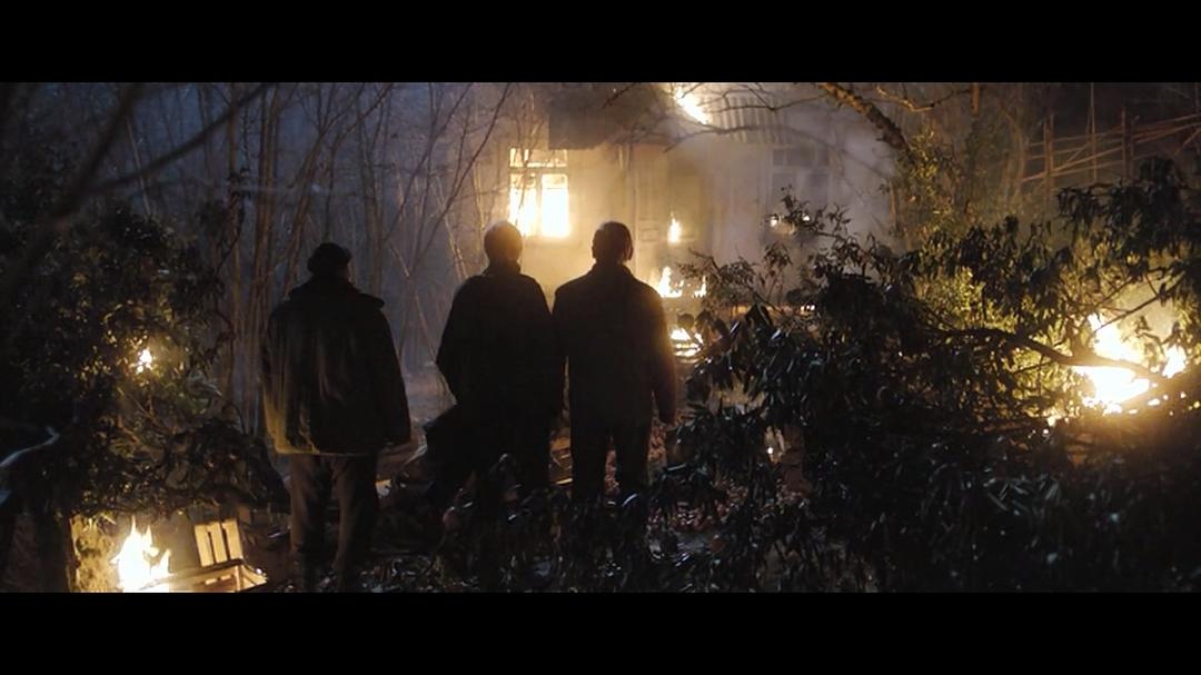 《金橘》海报第46张图片