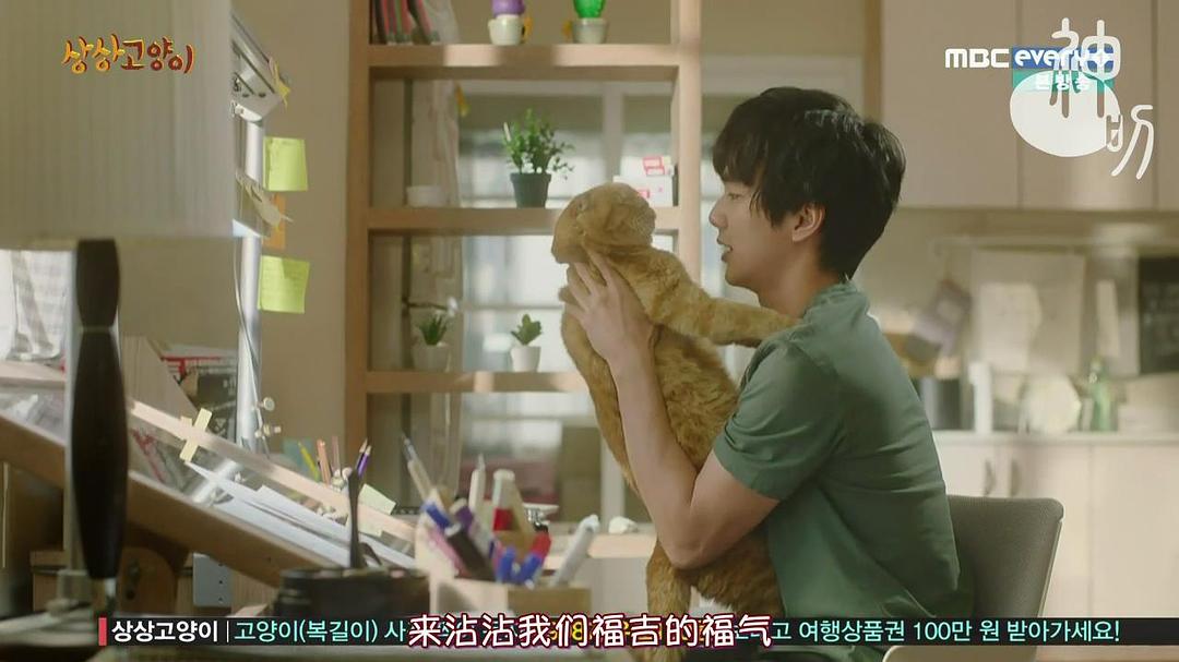 《想象猫》海报第11张图片