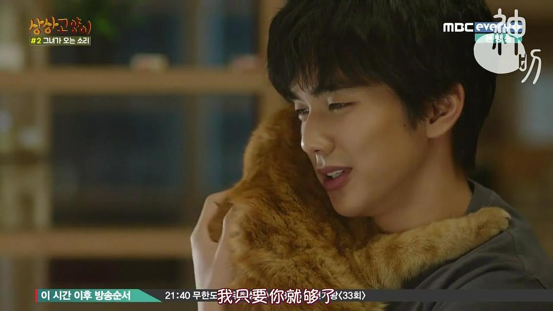 《想象猫》剧照