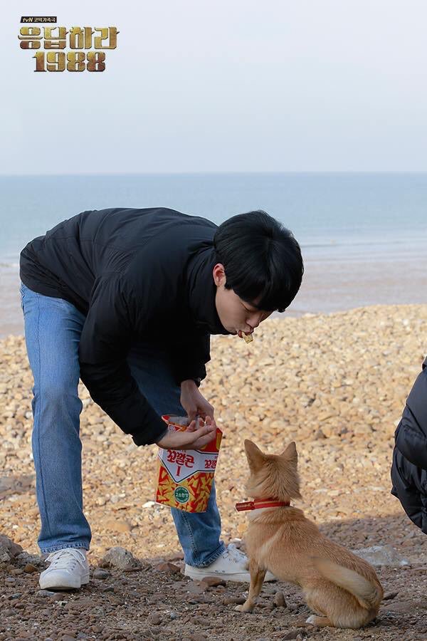 《请回答1988》剧照第22张图片