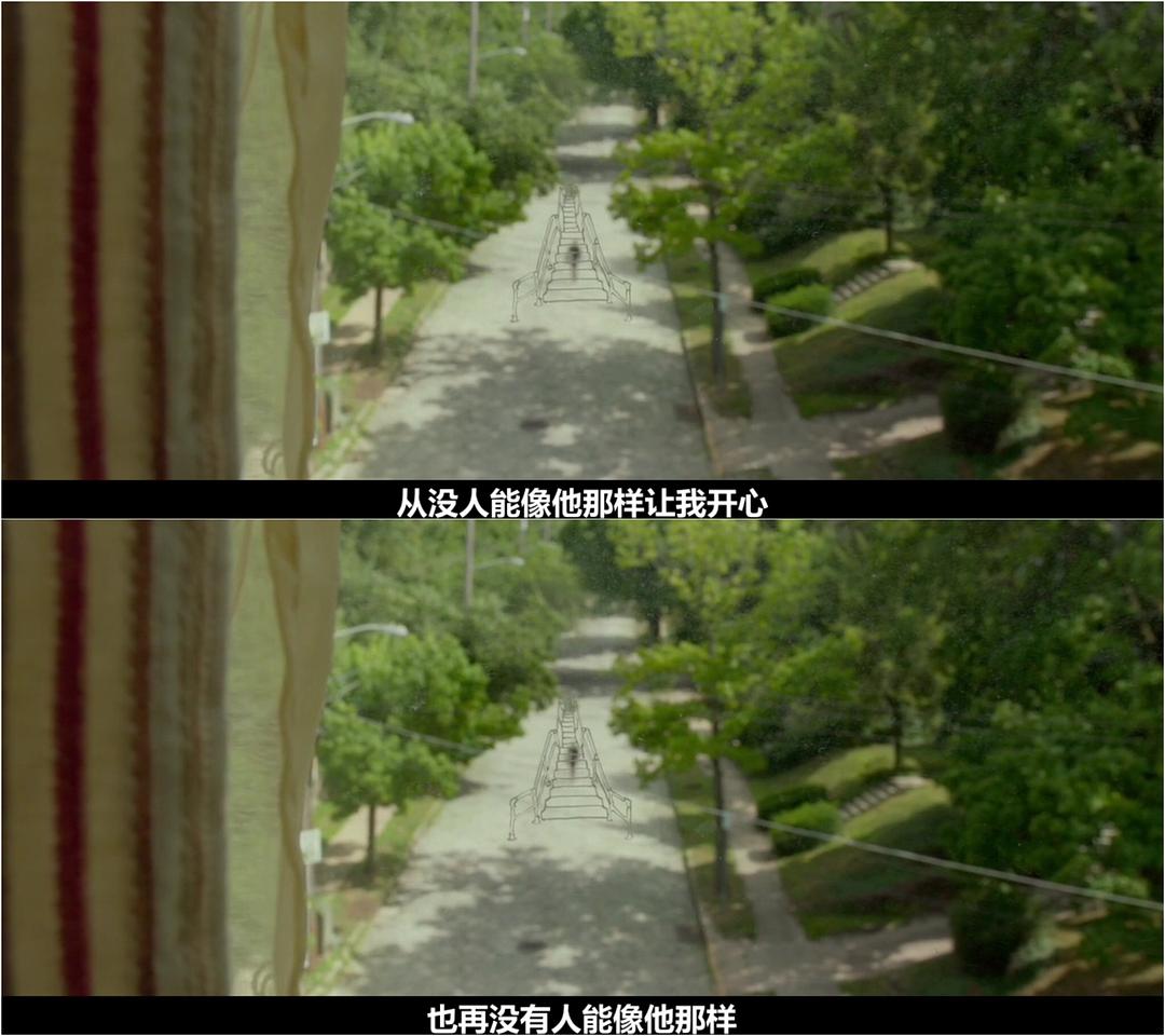 《我和厄尔以及将死的女孩》剧照第59张图片