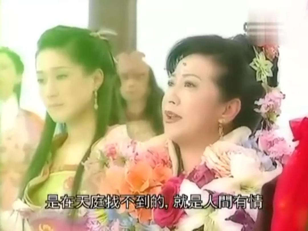 《非常岳母》海报第28张图片