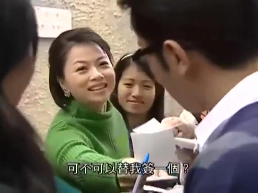 《非常岳母》海报第26张图片