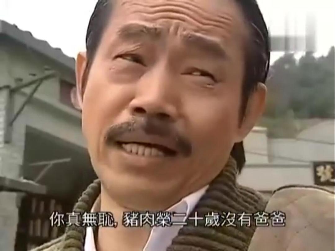 《非常岳母》海报第20张图片