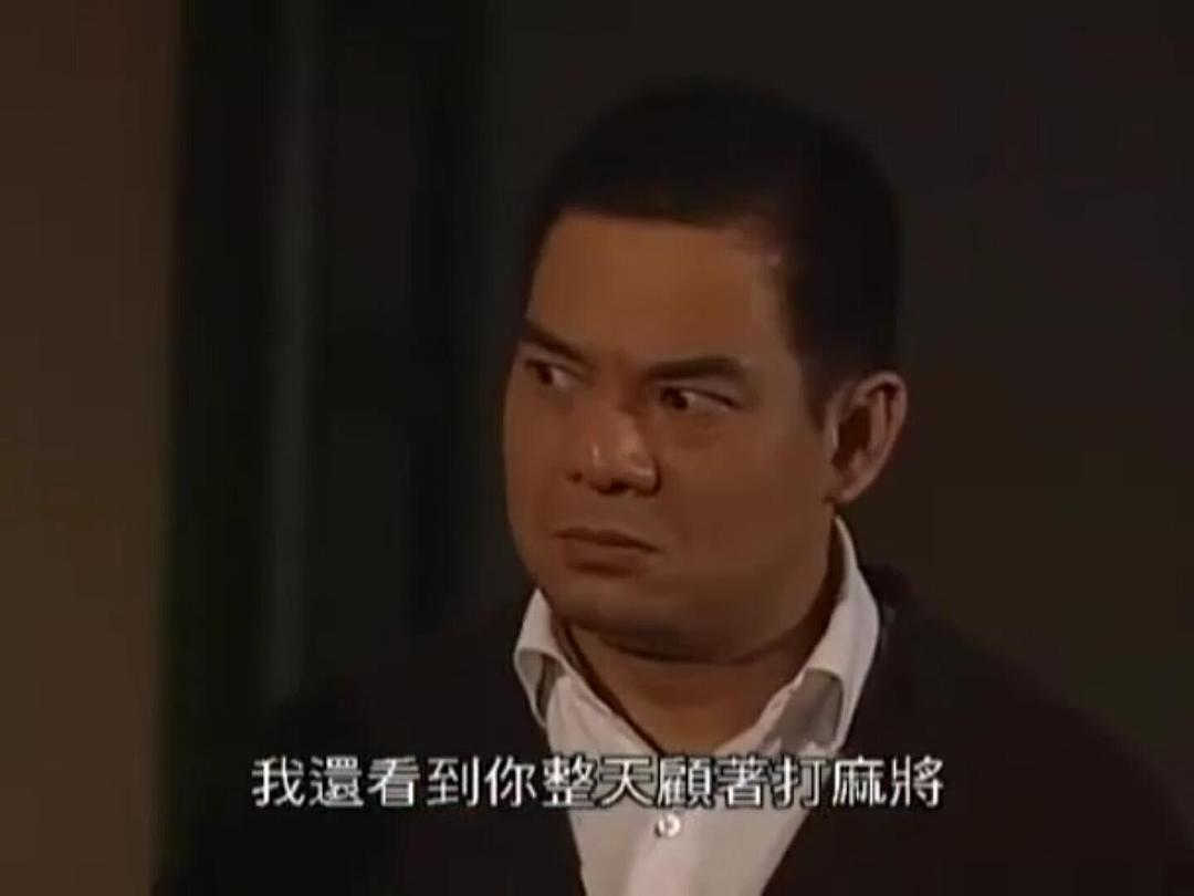 《非常岳母》海报第14张图片