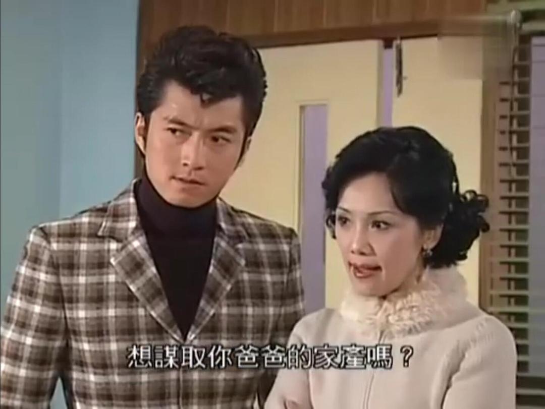 《非常岳母》海报第4张图片