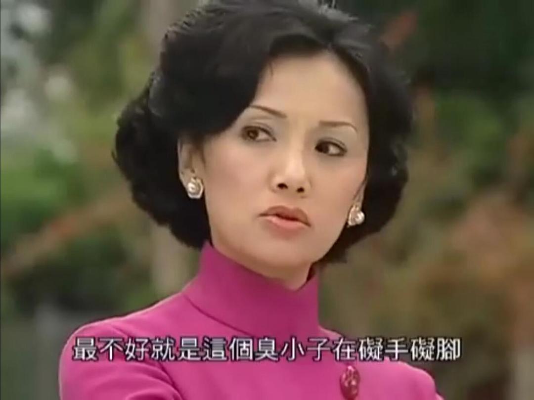 《非常岳母》海报第7张图片