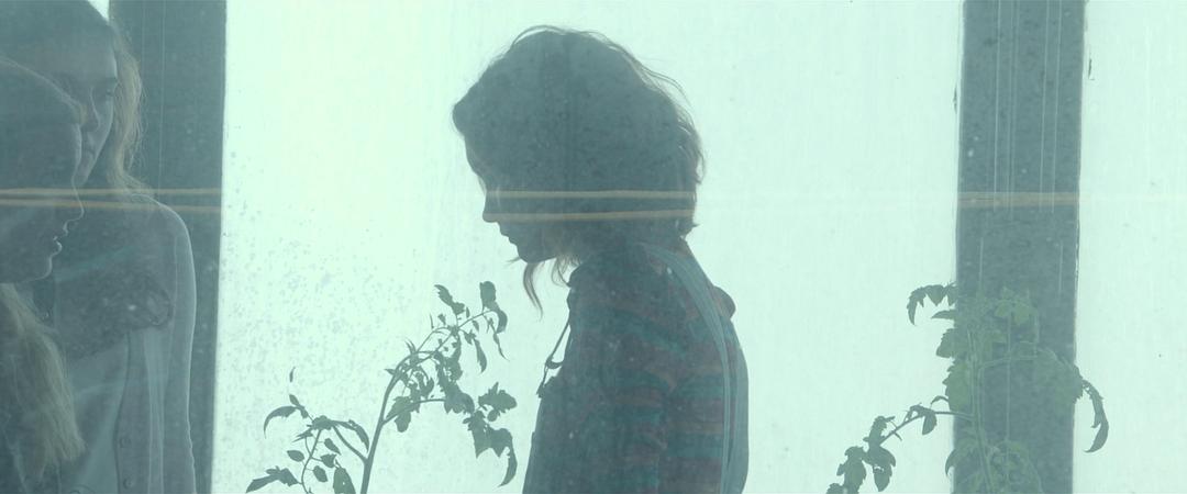 《我和厄尔以及将死的女孩》剧照第38张图片