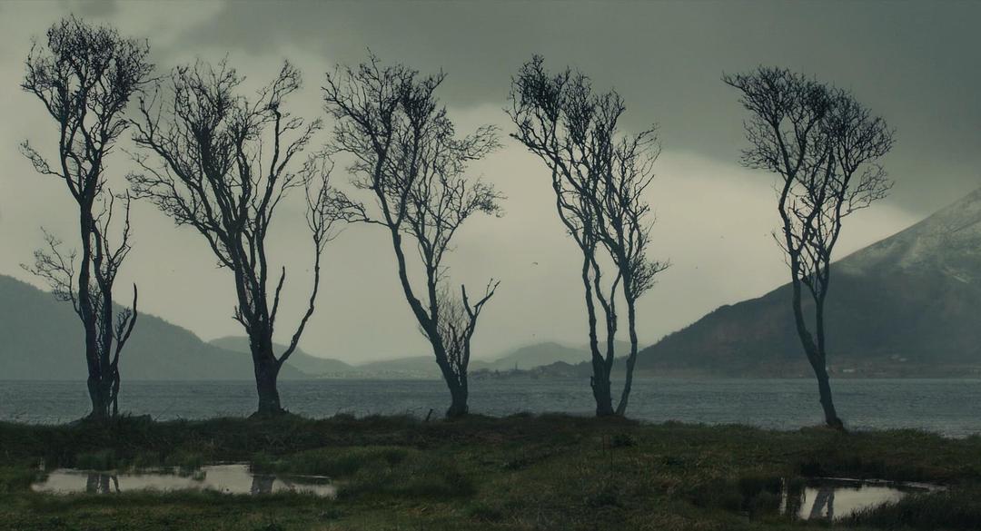 《丹麦女孩》海报第39张图片