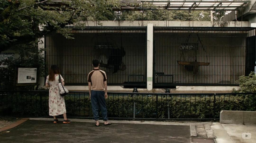 《百元之恋》剧照第50张图片