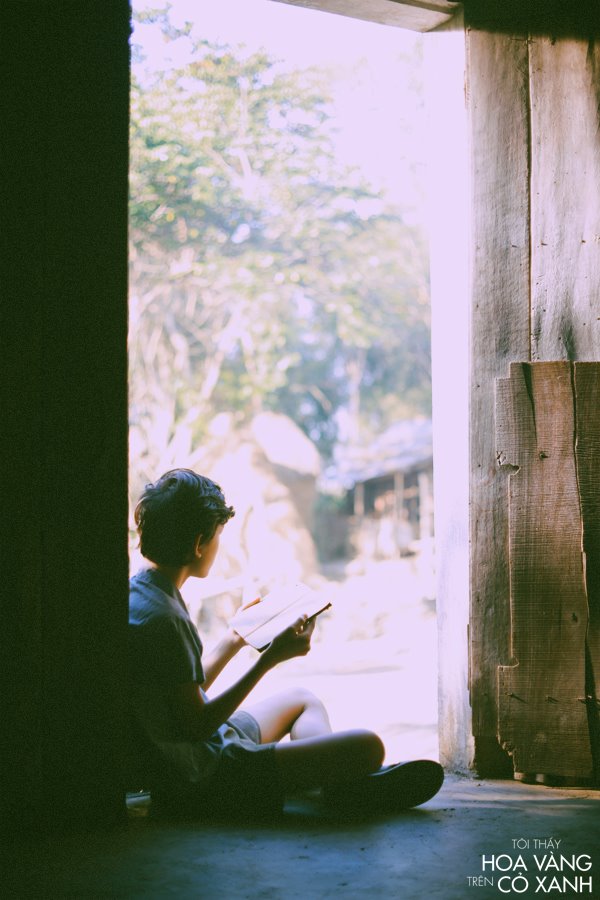 《绿地黄花》海报