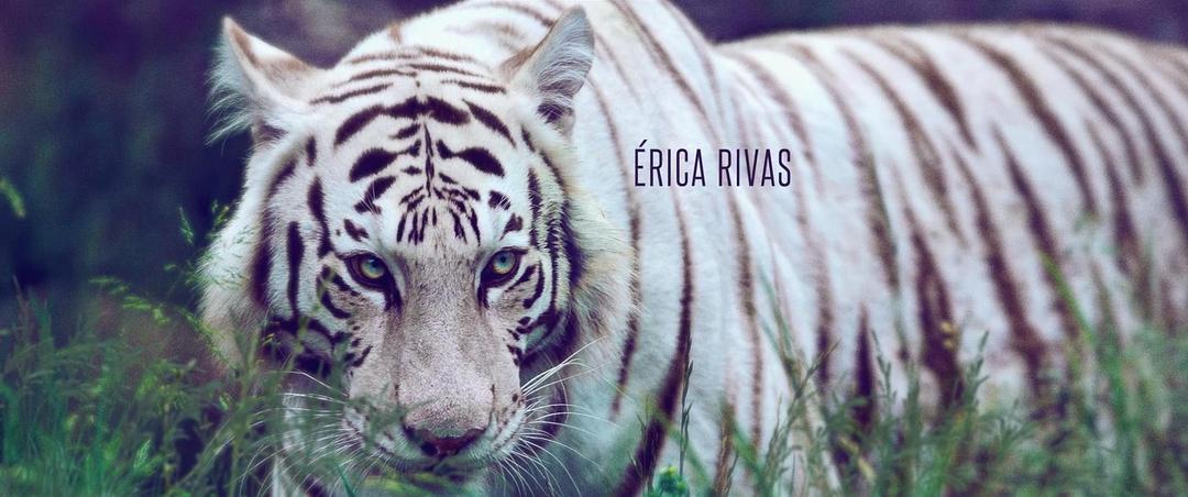 片头字幕，主演：艾...