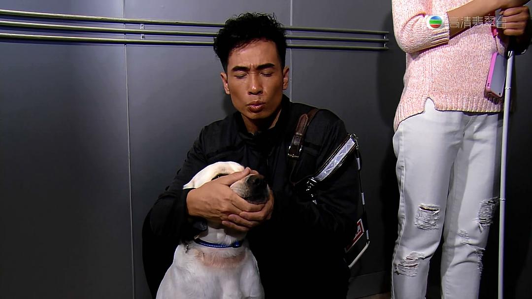 《陪着你走》剧照