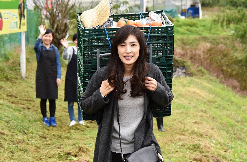 《三星营养午餐》海报第55张图片