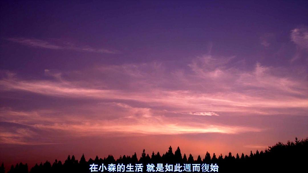 《小森林冬春篇》剧照第60张图片