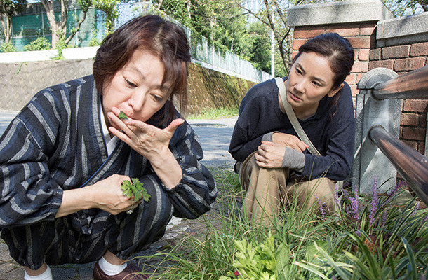 《医疗小组：达芬奇女士的诊断》剧照