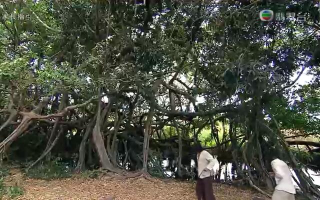 《致命复活》海报第23张图片