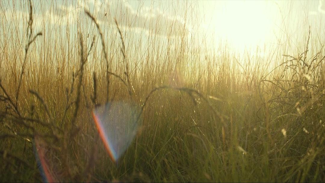 《赴汤蹈火》剧照第49张图片