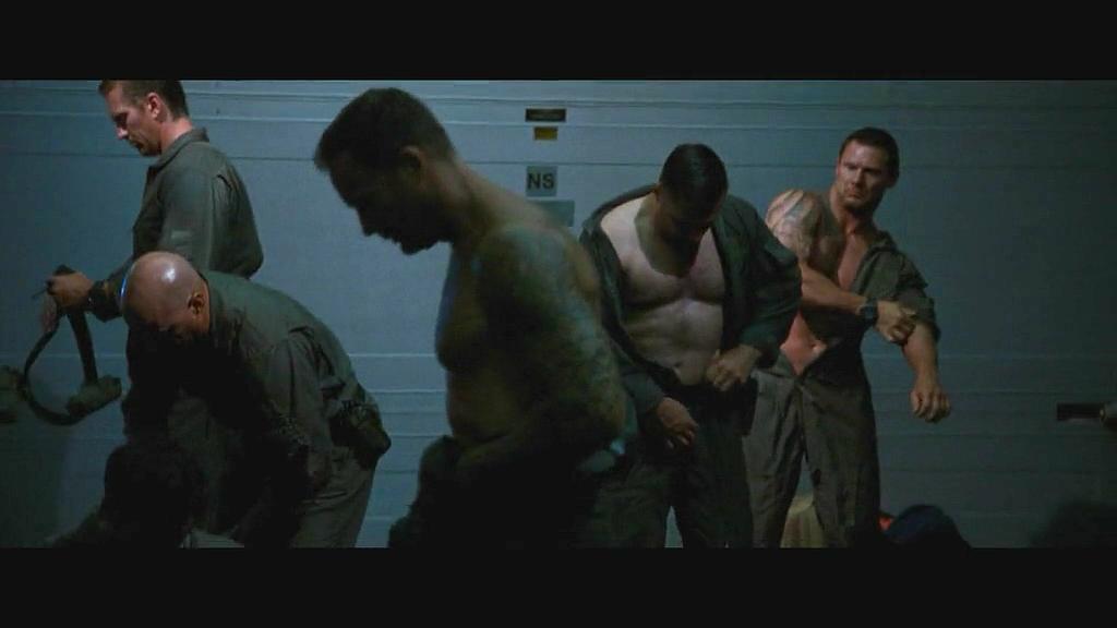 这只SEAL有点胖啊