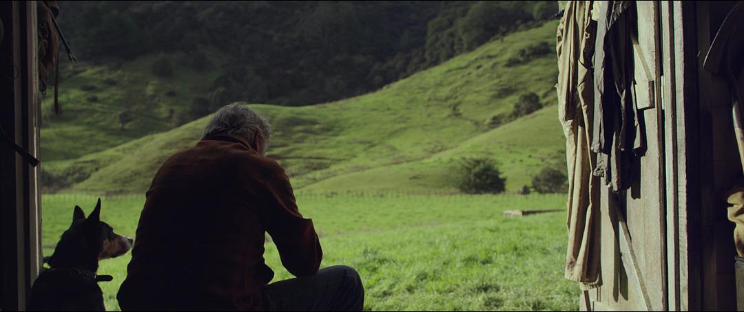 《追捕野蛮人》剧照第32张图片