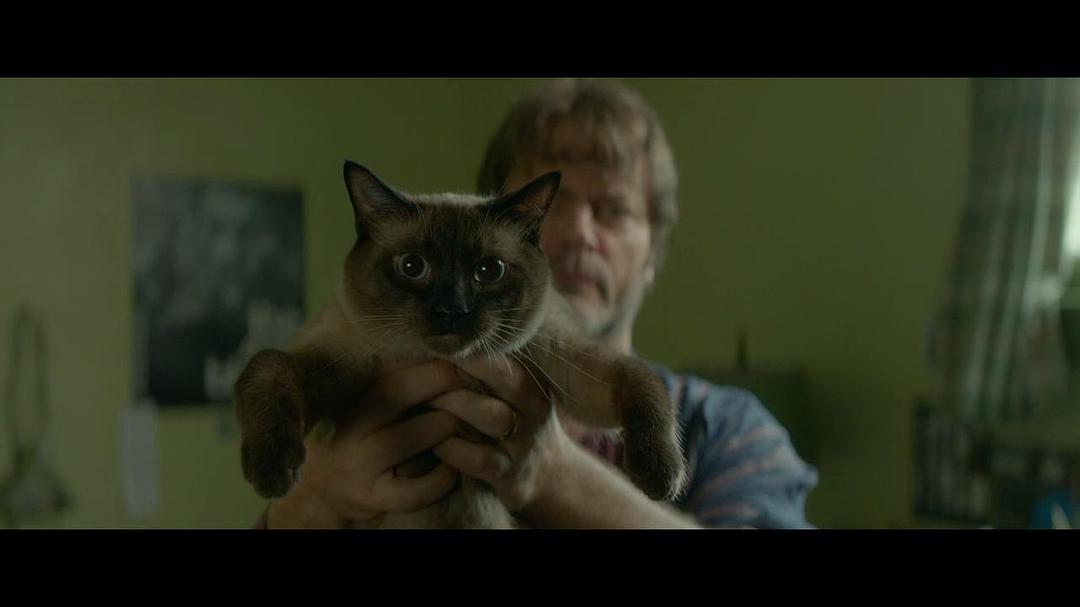 《我和厄尔以及将死的女孩》剧照第42张图片