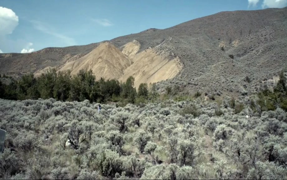 《爱丽丝》剧照第47张图片