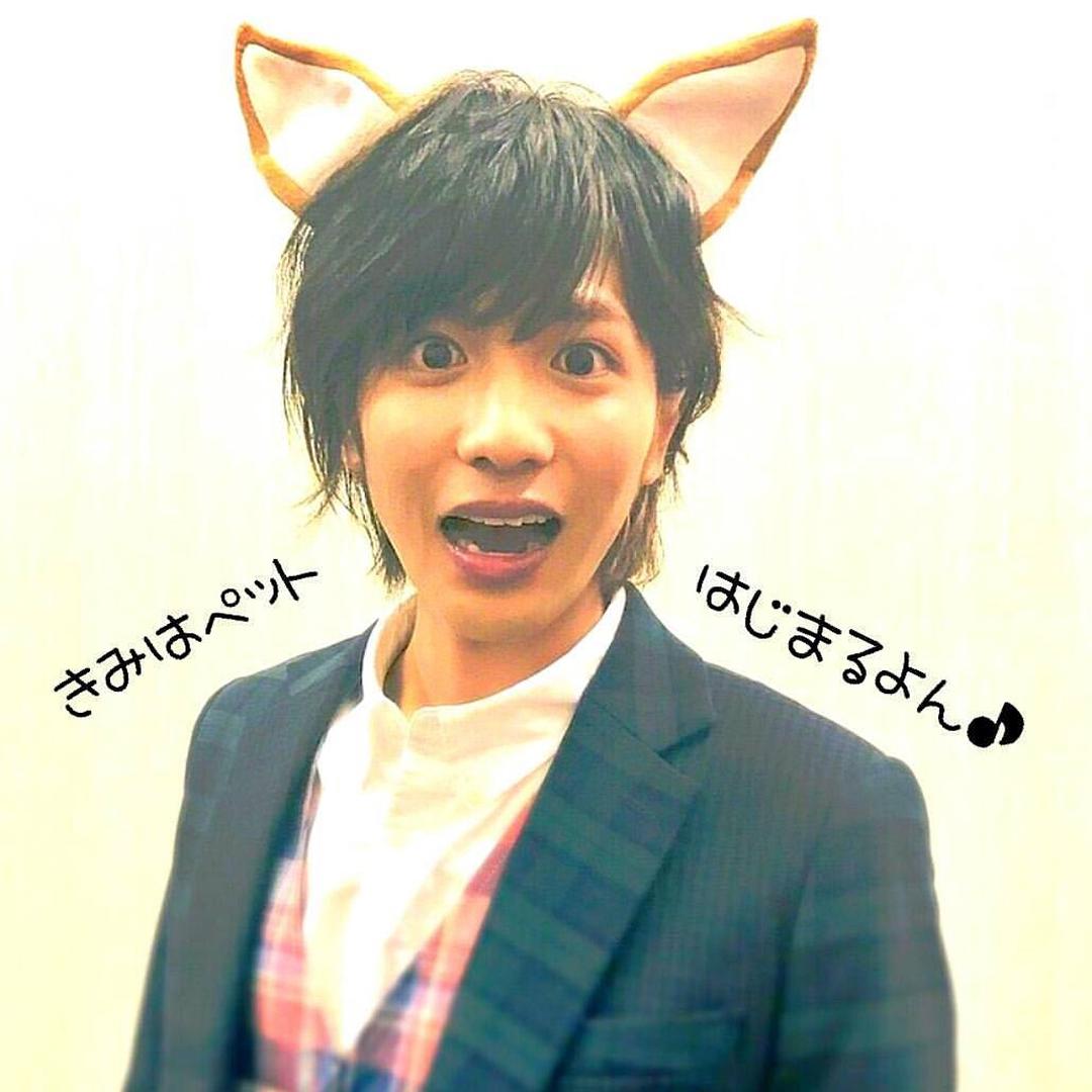 《宠物情人》剧照