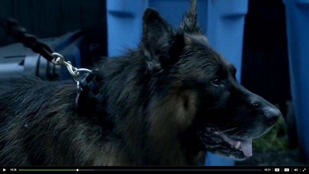 《全境通告》剧照第14张图片