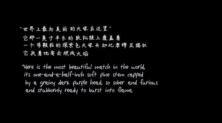 《帕特森》剧照第49张图片