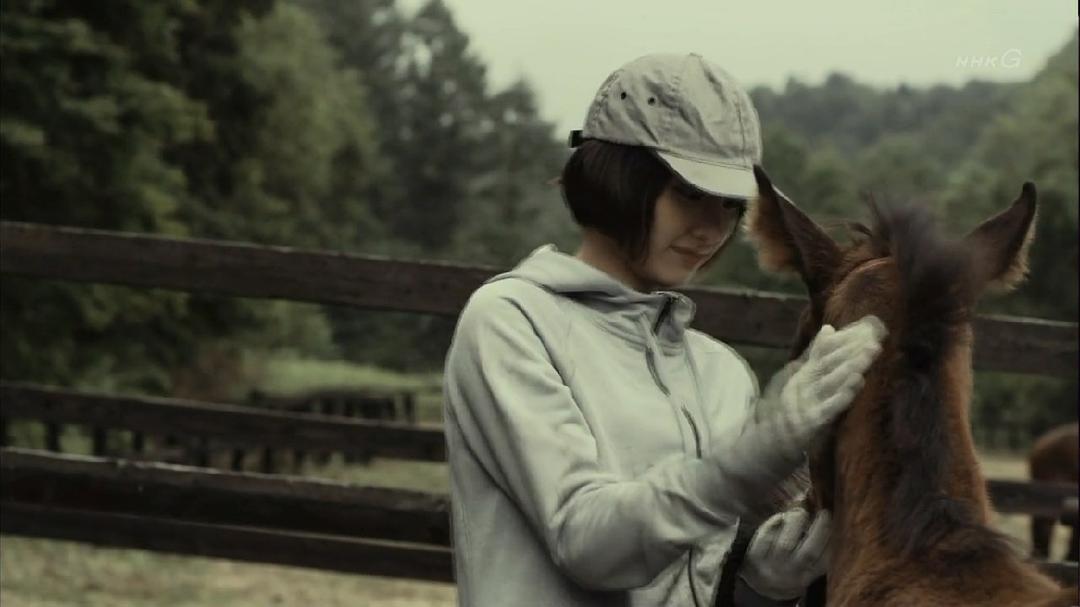 《羁绊：奔跑的奇迹小马》剧照第15张图片