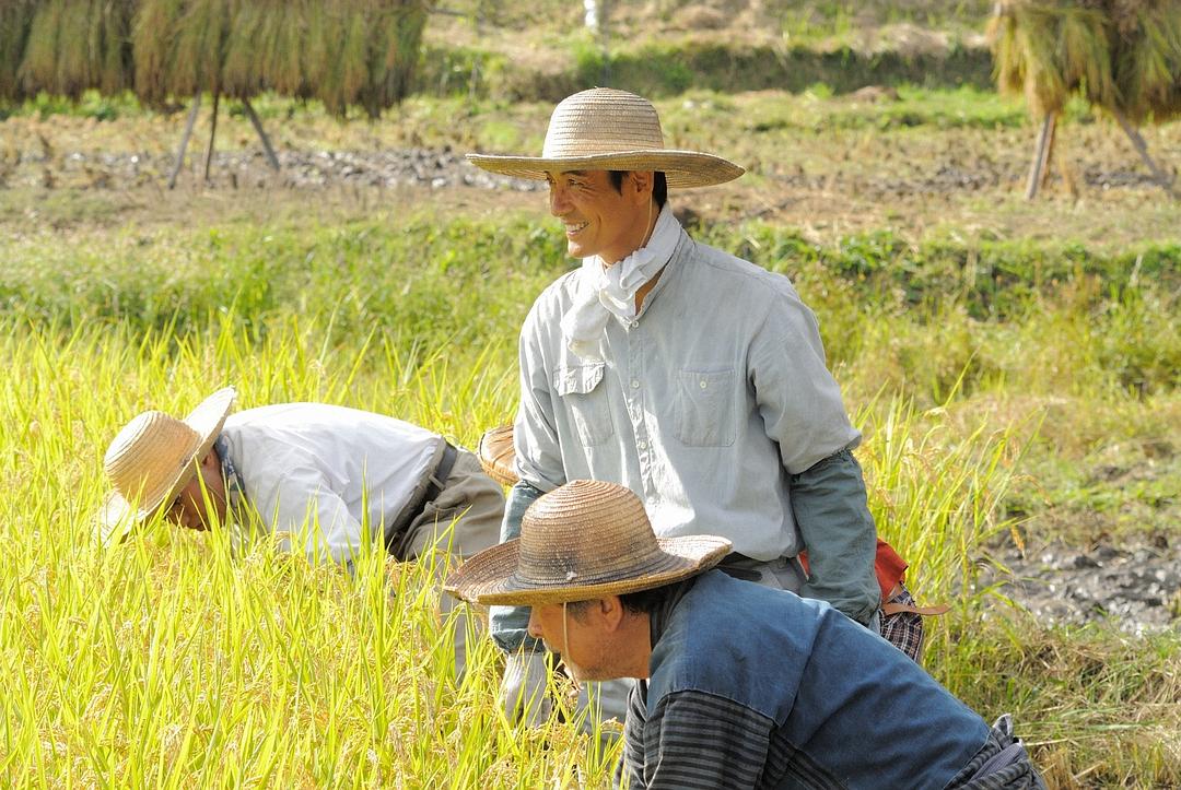 《雏鸟》剧照第41张图片