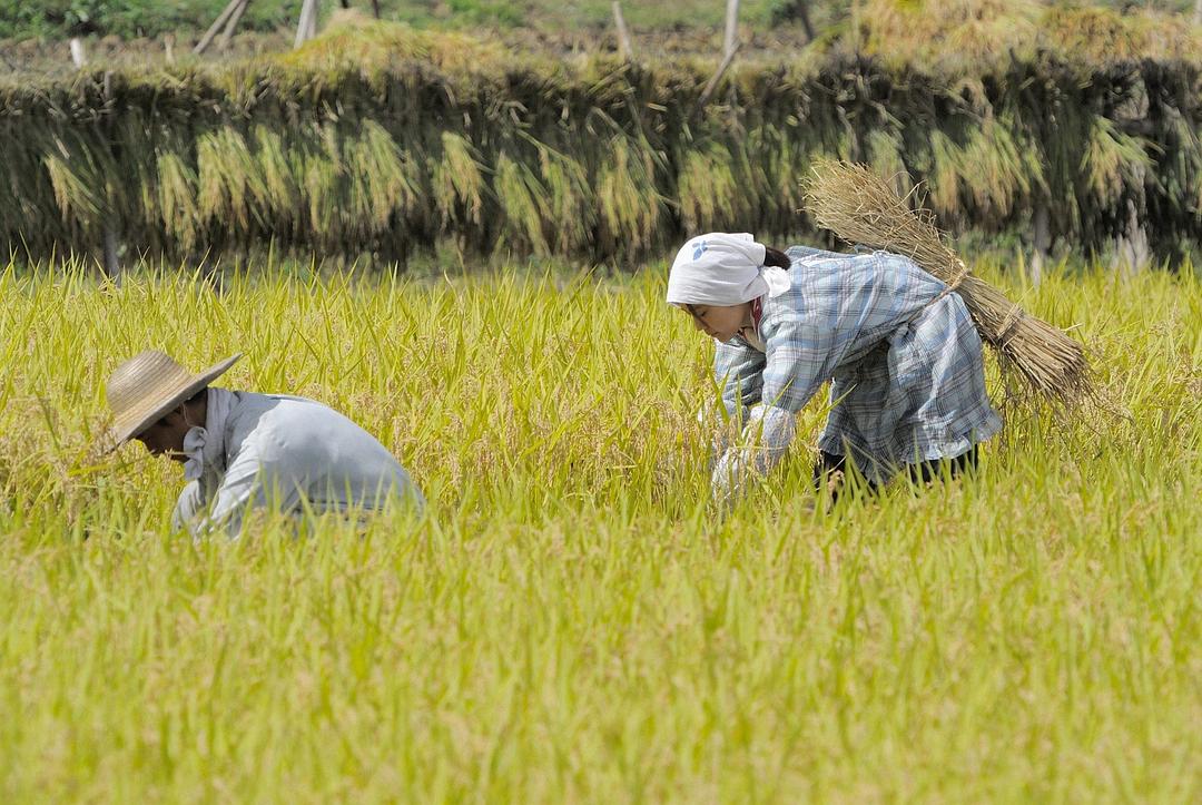 《雏鸟》剧照第39张图片