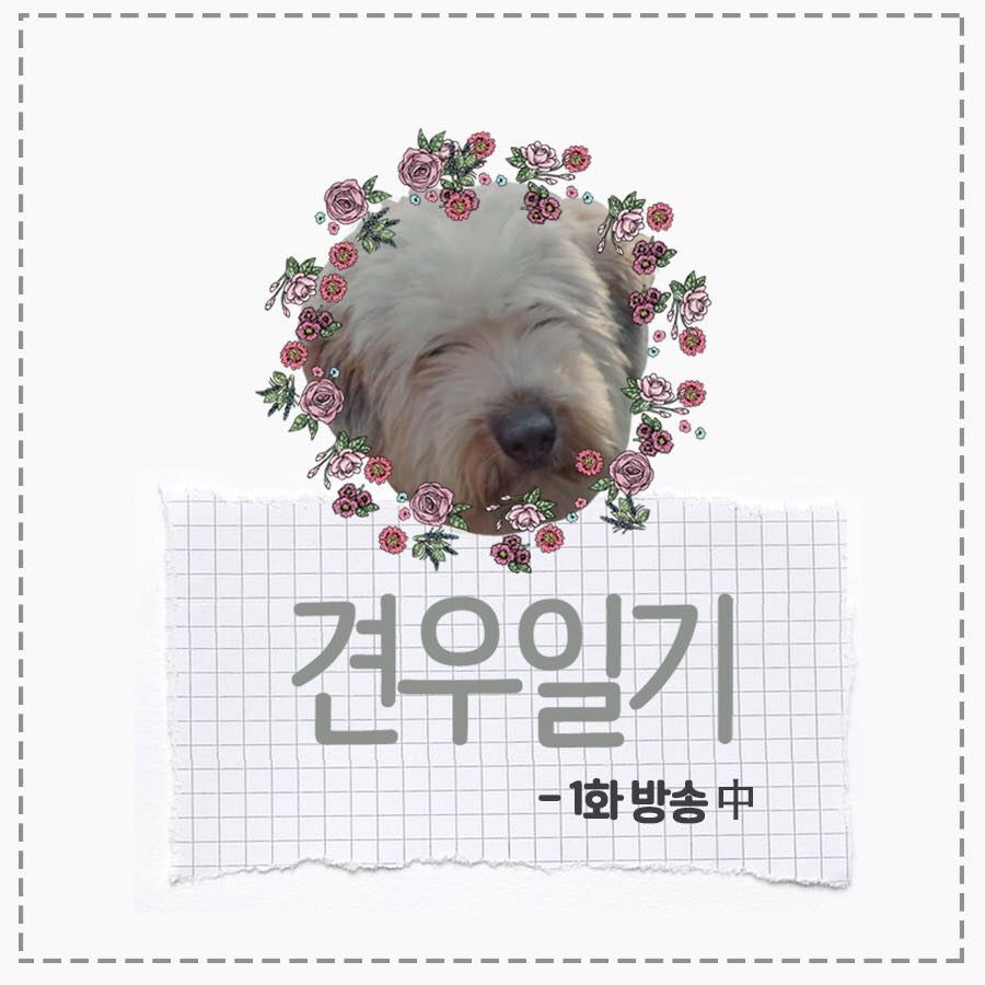 《芝加哥打字机》剧照第48张图片